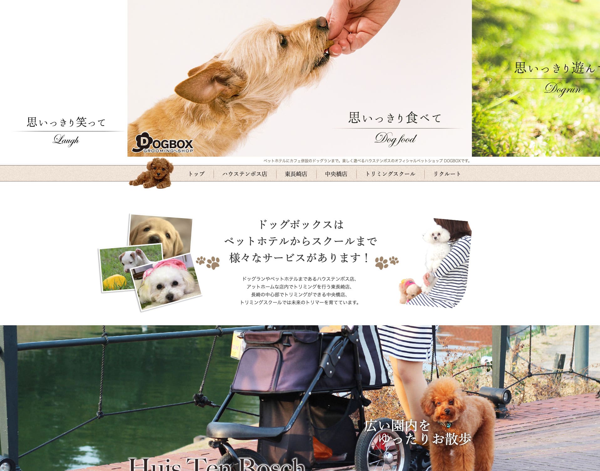 DOGBOX